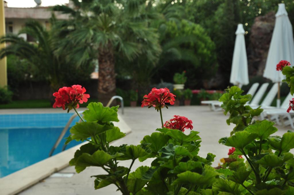 Palm Court Suites Ayvalı Exteriör bild
