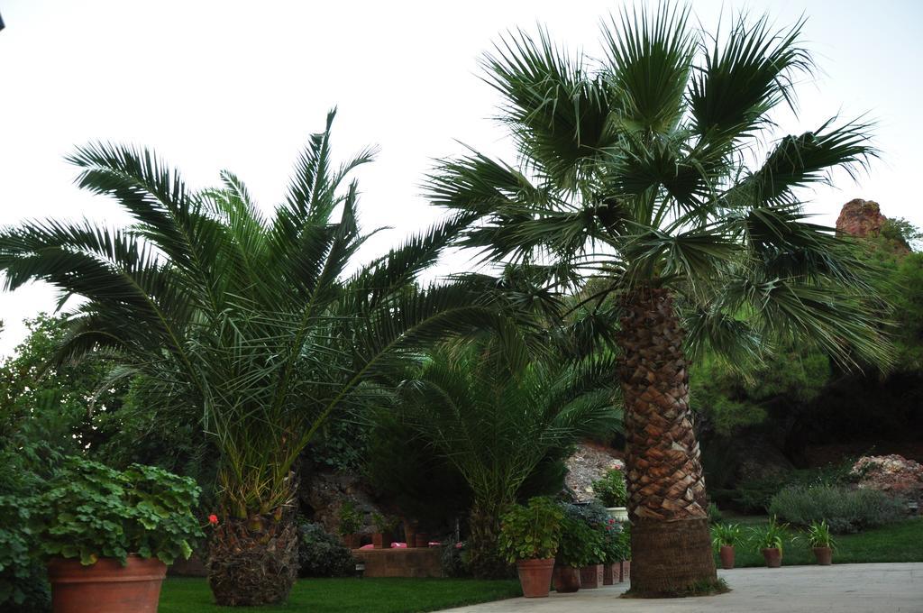 Palm Court Suites Ayvalı Exteriör bild