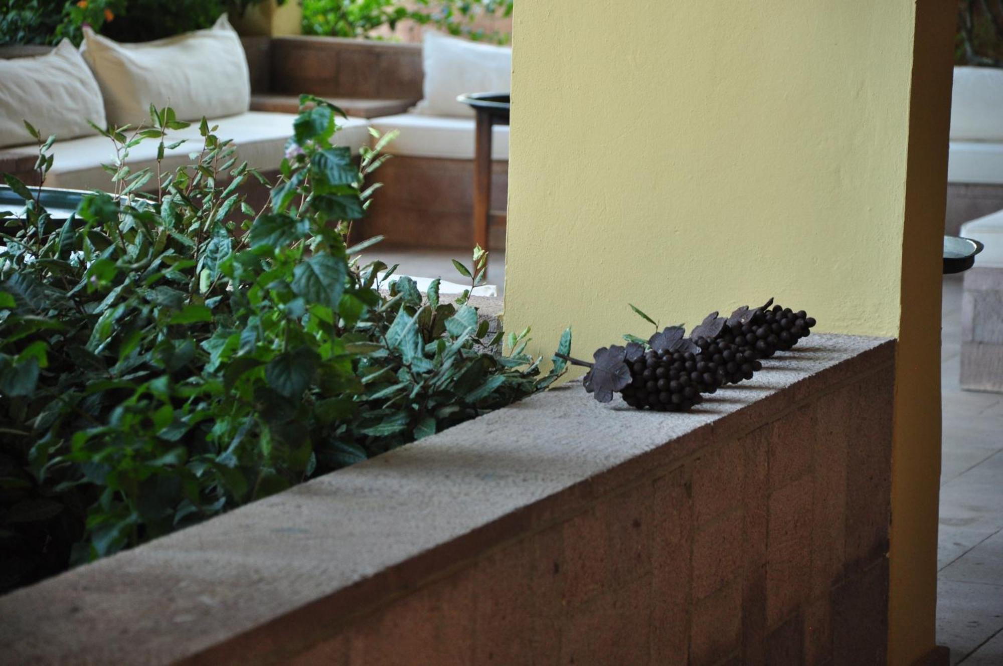 Palm Court Suites Ayvalı Exteriör bild